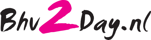 Logo Bhv2Day.nl